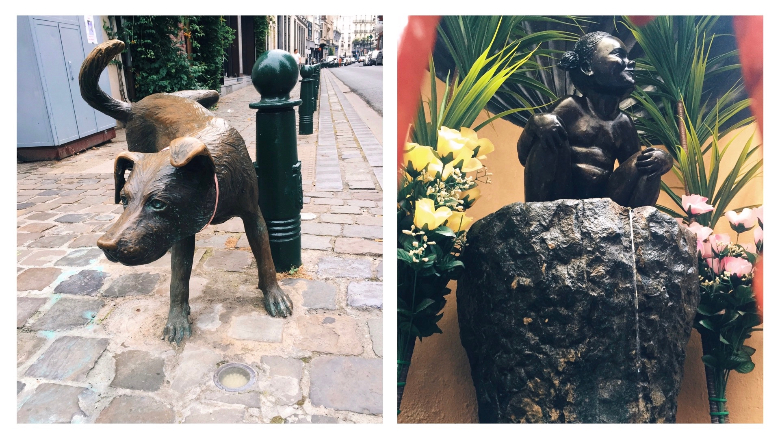 bimba che piscia e cane che piscia