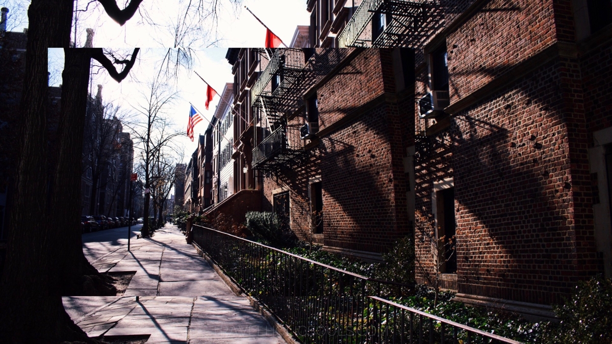 Cosa vedere a New York: Brooklyn Heights