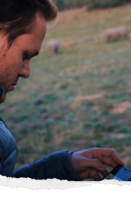 internet in Sudafrica