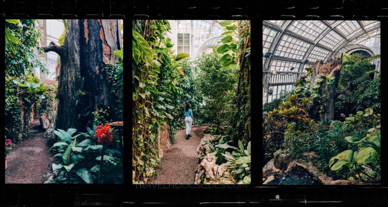 Visitare Vienna: Schmitzerlinghaus