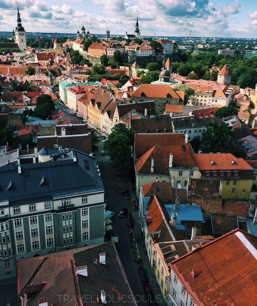 vista di Tallinn dalla torre di Sant'Olaf estonia