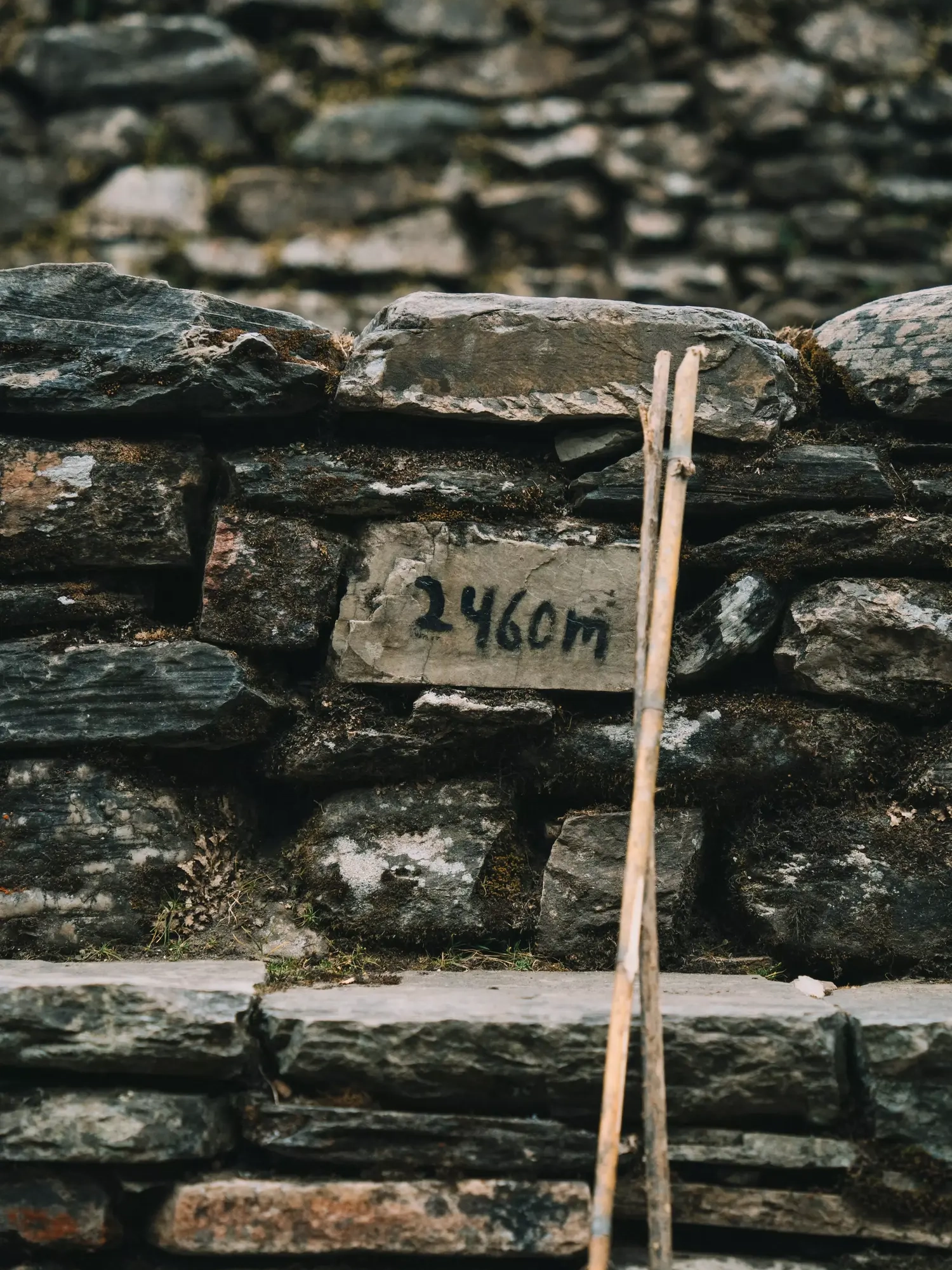 cartello trekking 2460m