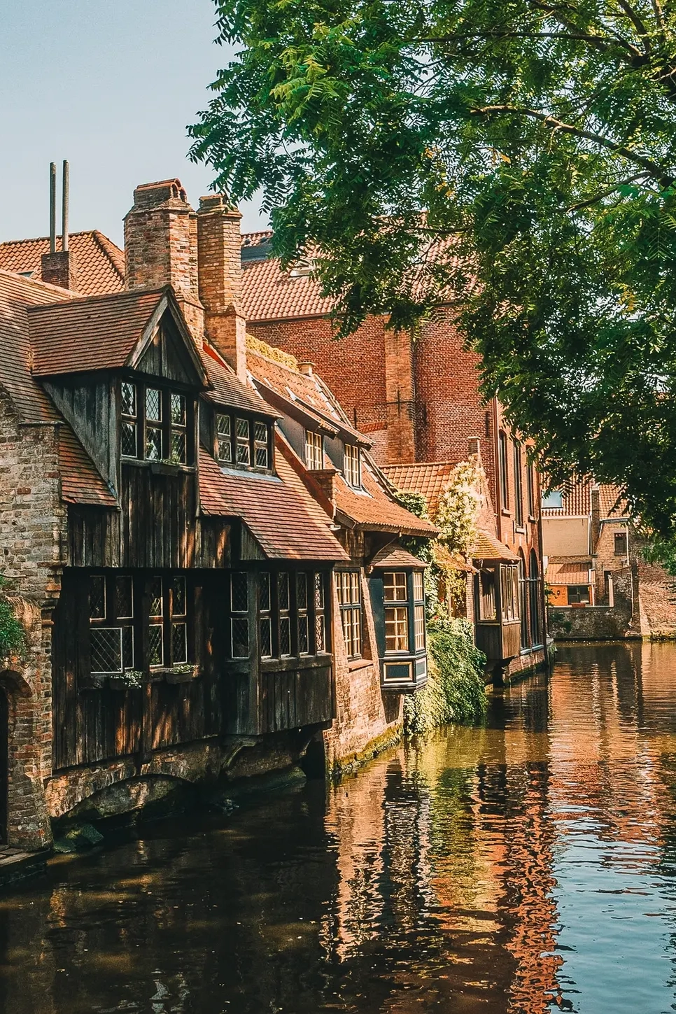 cosa vedere a bruges copertina mobile