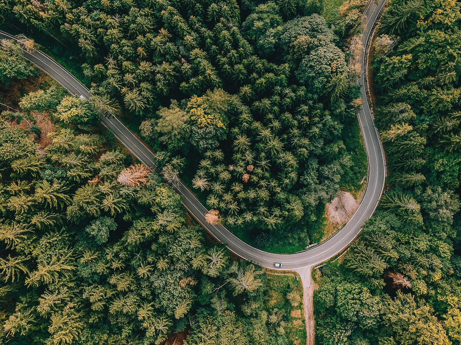 Get your guide come si usa copertina mobile