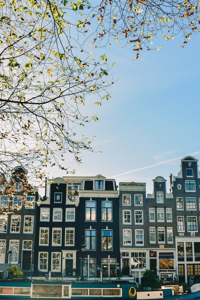 immagine copertina OLANDA mobile