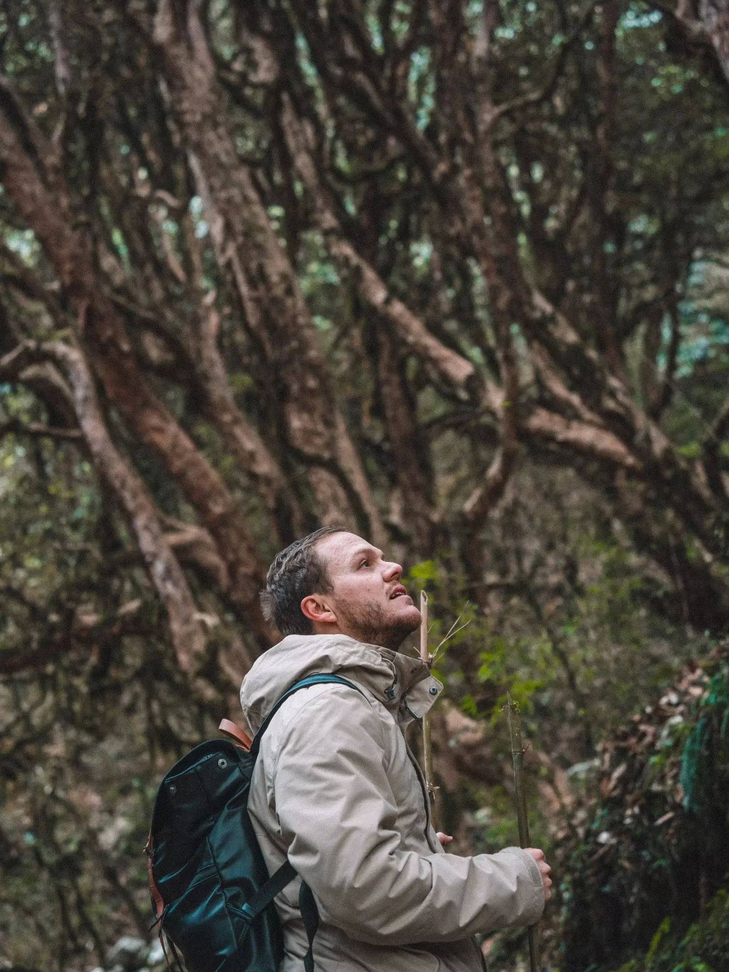 simone ammira foresta nepal