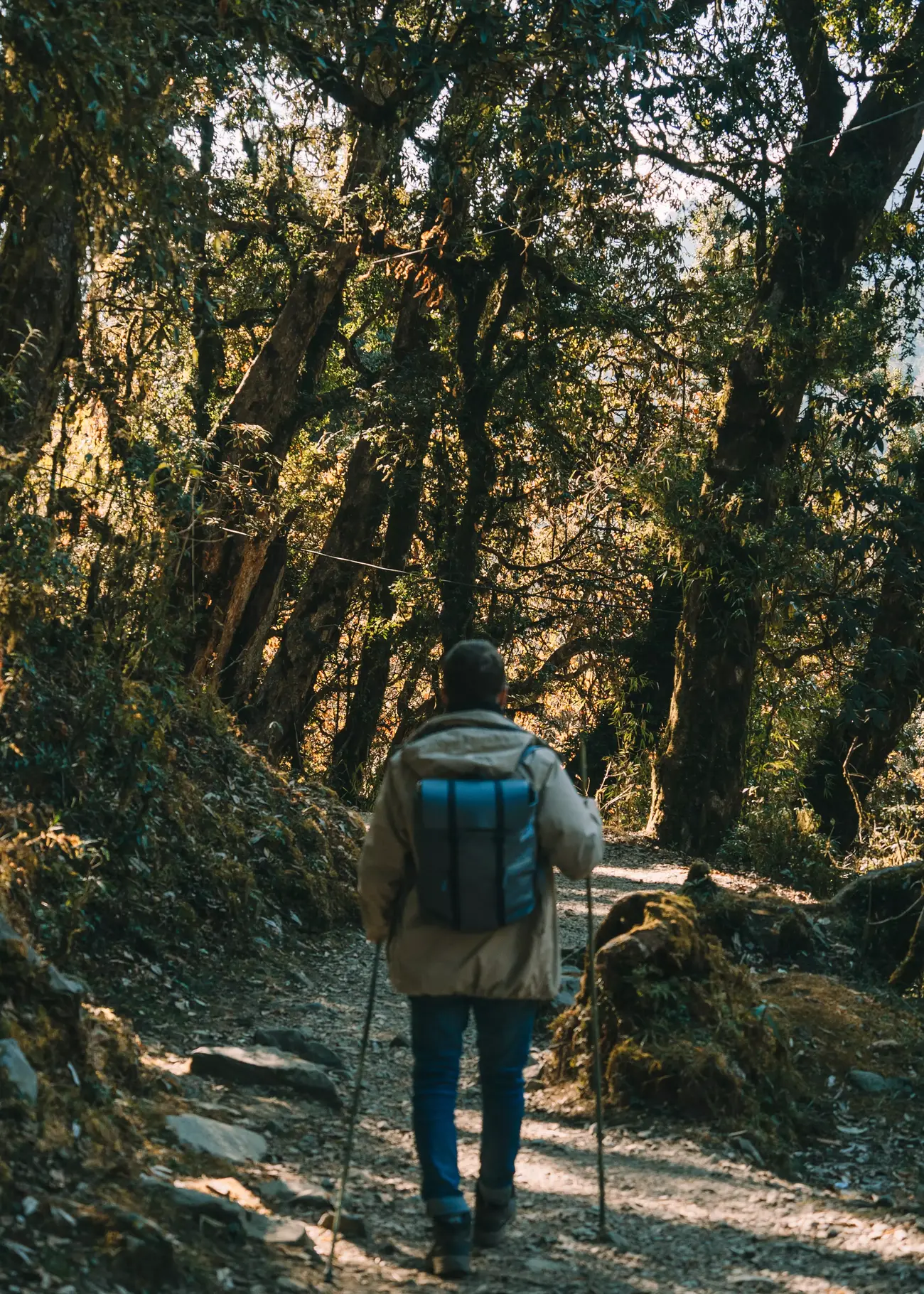 trekking himalaya percorso