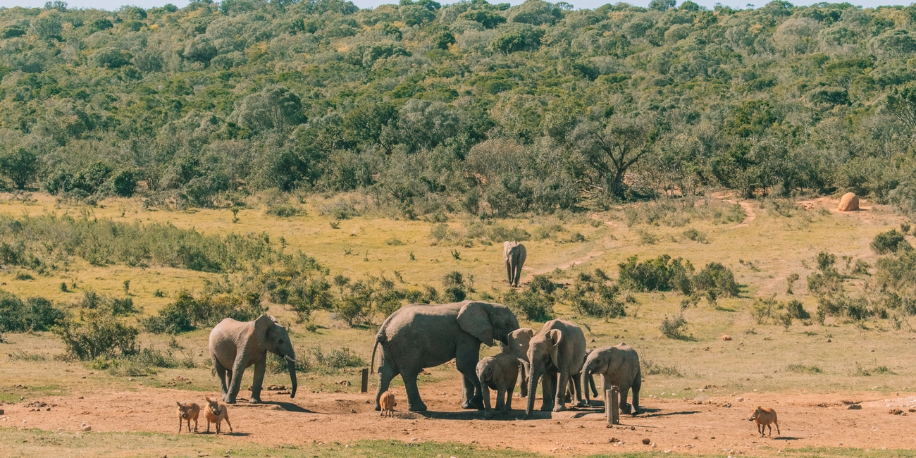 visitare sudafrica copertina mobile